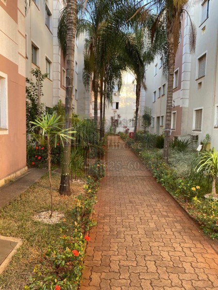 Apartamento, 2 quartos - Foto 12