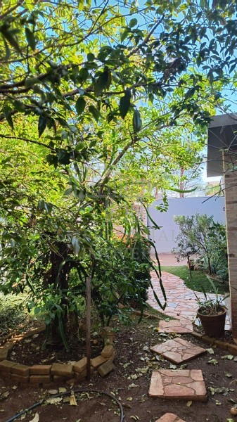 Casa, 4 quartos, 313 m² - Foto 5